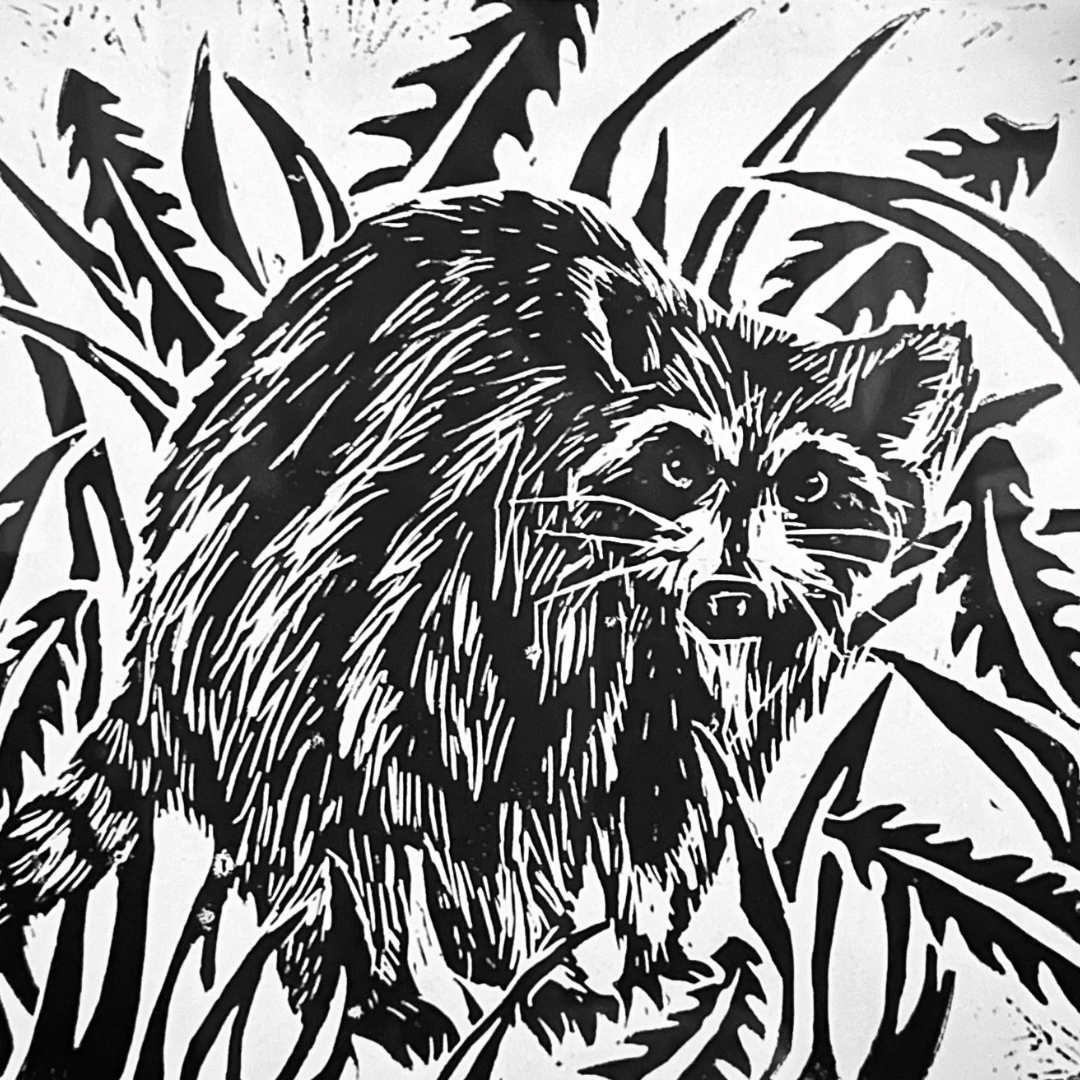 RaccoonArt