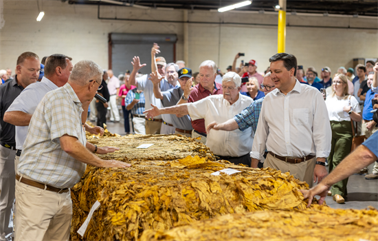 Wilson Tobacco Opening