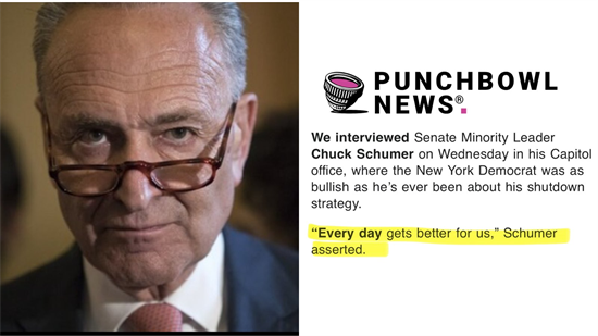schumer quote